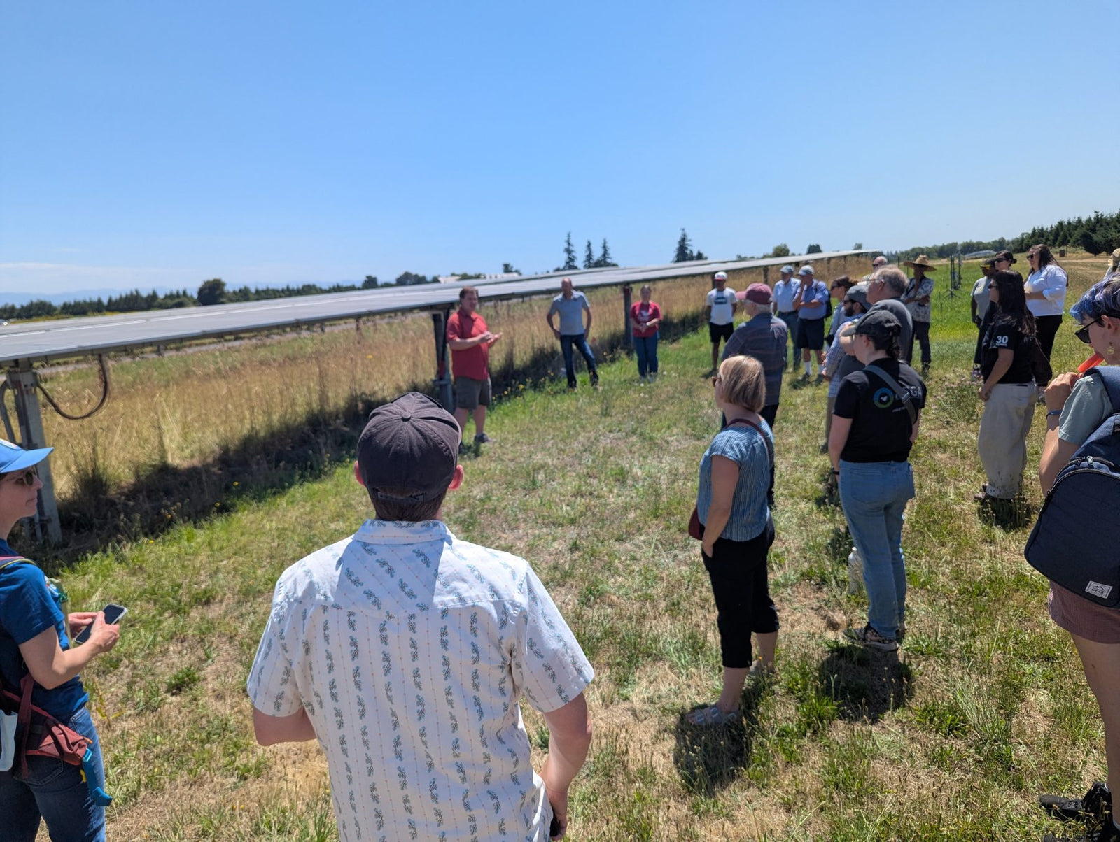 Farmers, ranchers and researchers on a field day tour beside a row of solar panels